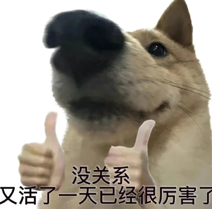 分享一波爱用表情包[哇] ​​​
