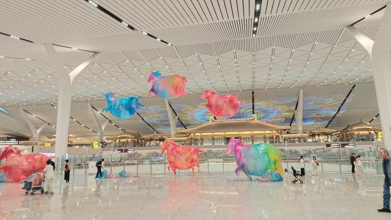 西安T5航站楼：大到离谱，全靠嘴问
 
西安机场去年新开的T5航站楼，那叫一个大