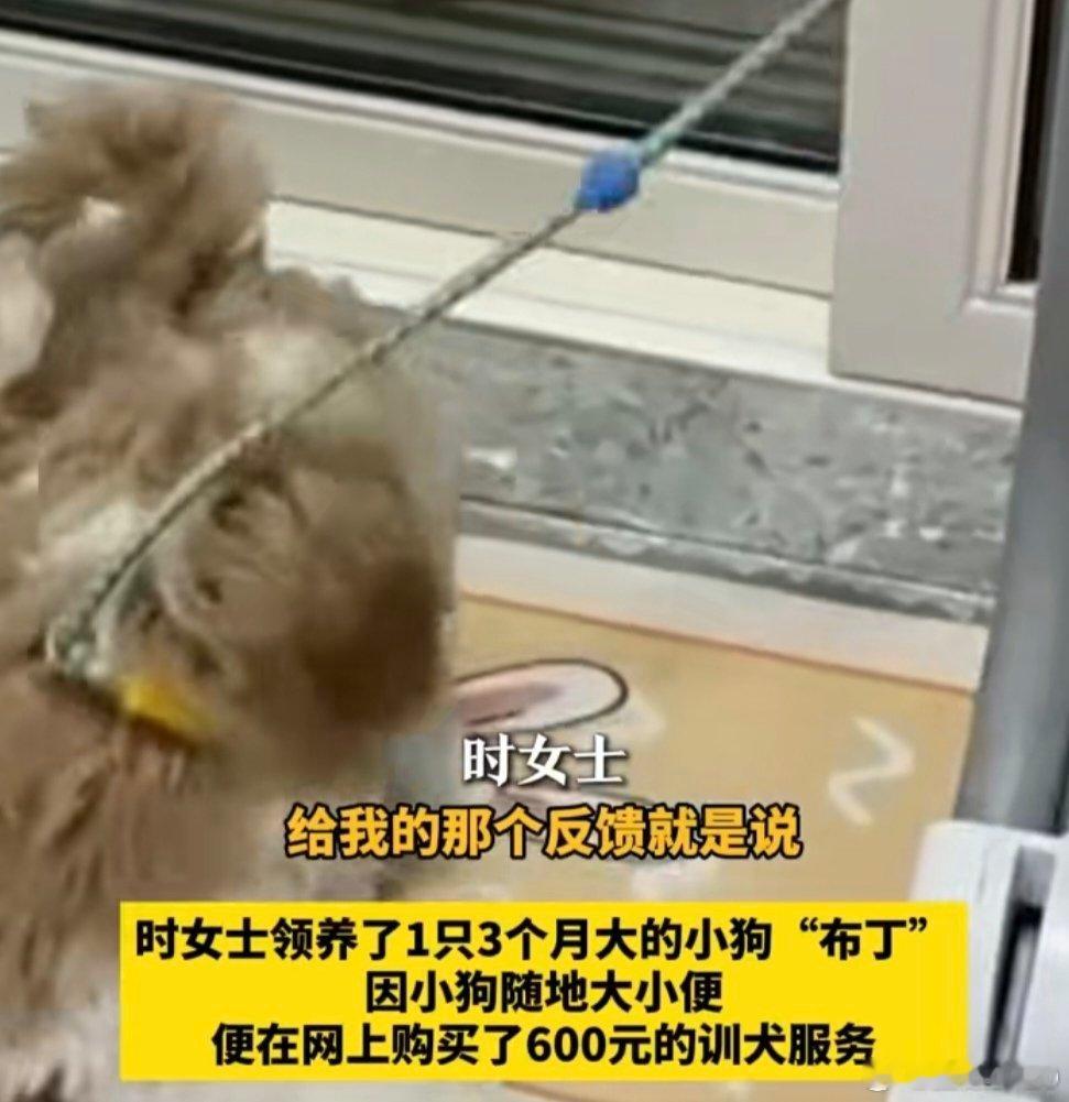 600一节课教狗如厕没学会钱也不退热点观点 这是典型的虚假宣传和不负责任。事先承