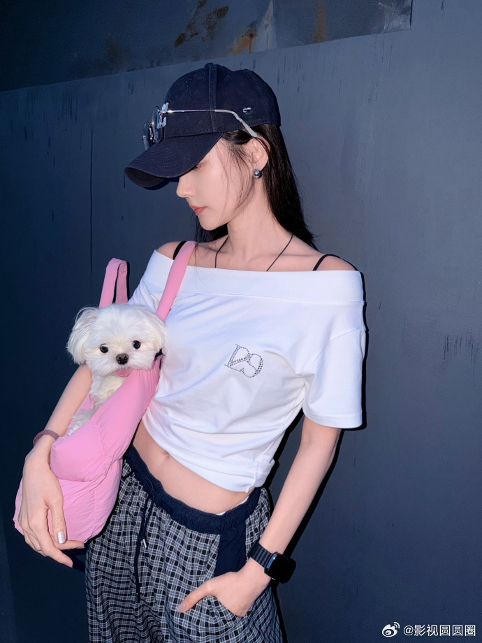 李一桐一起养个狗狗去楼下走走晚风、小狗、悠闲散步，李一桐一句话勾勒出治愈满分的画