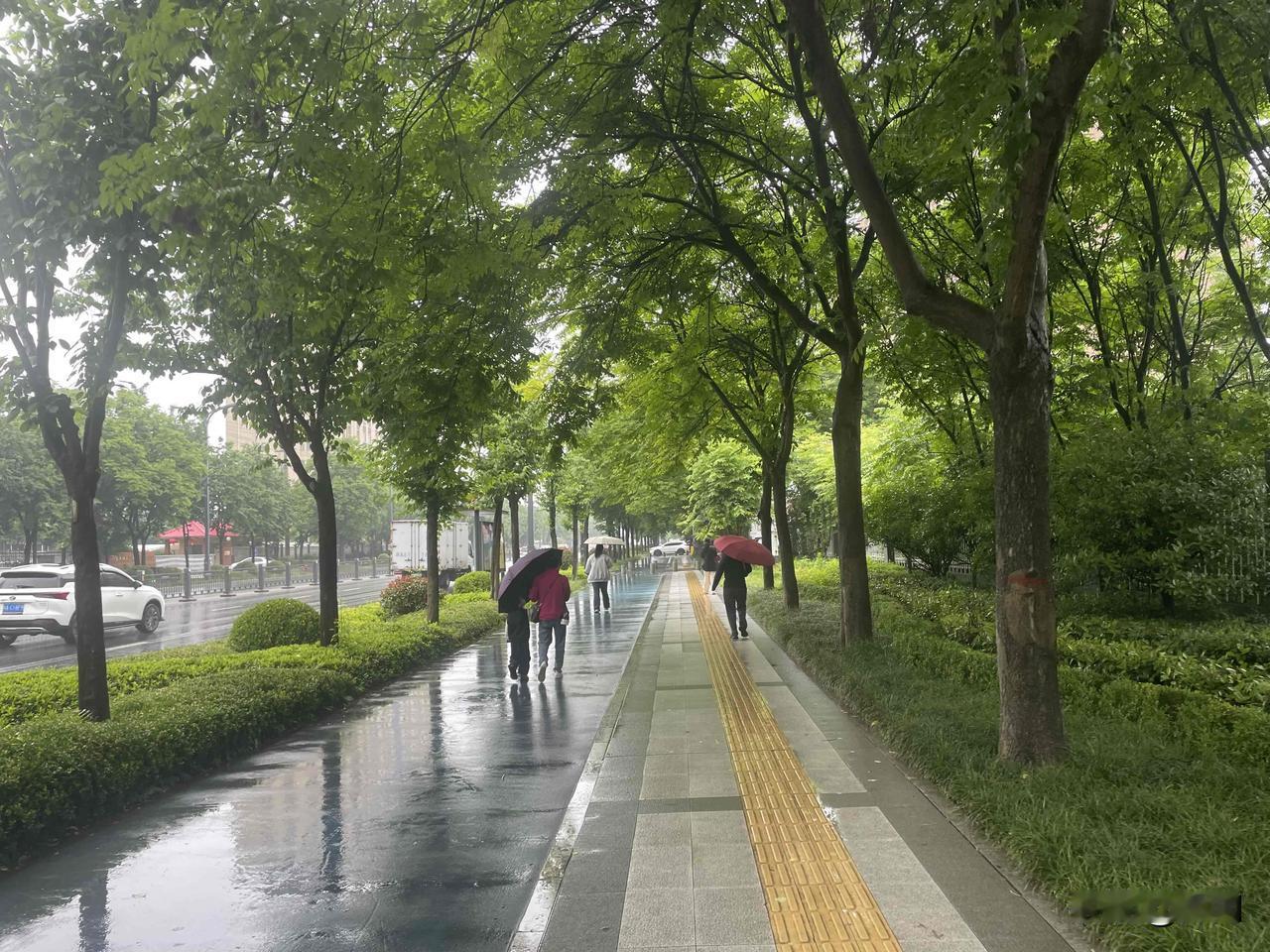 【七律•夏雨】
黑云翻墨雨急飘，洗净浮尘霁色娇。
乱系青藤将蔓覆，轻推绿叶把枝摇