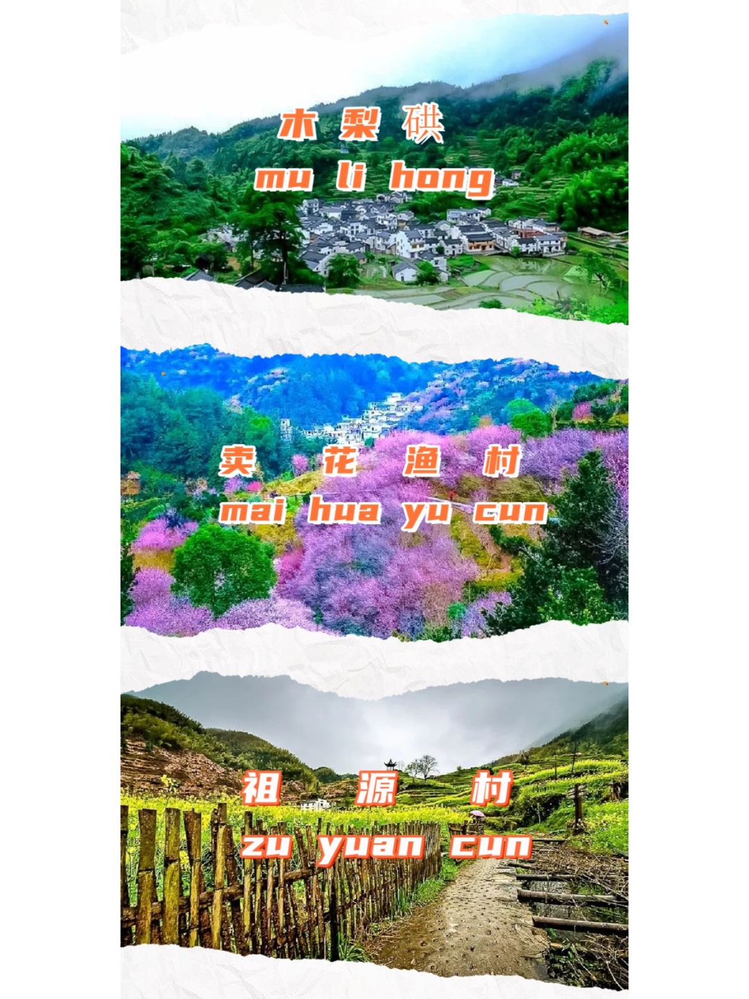 春日赏花徒步：徽州卖花渔村-木梨硔-祖源村
