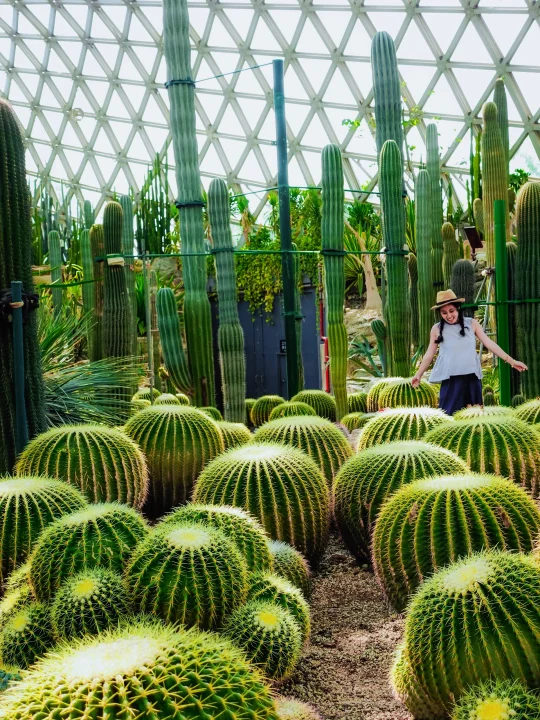 闯入宫崎骏的夏天🍃佘山度假区保姆级攻略