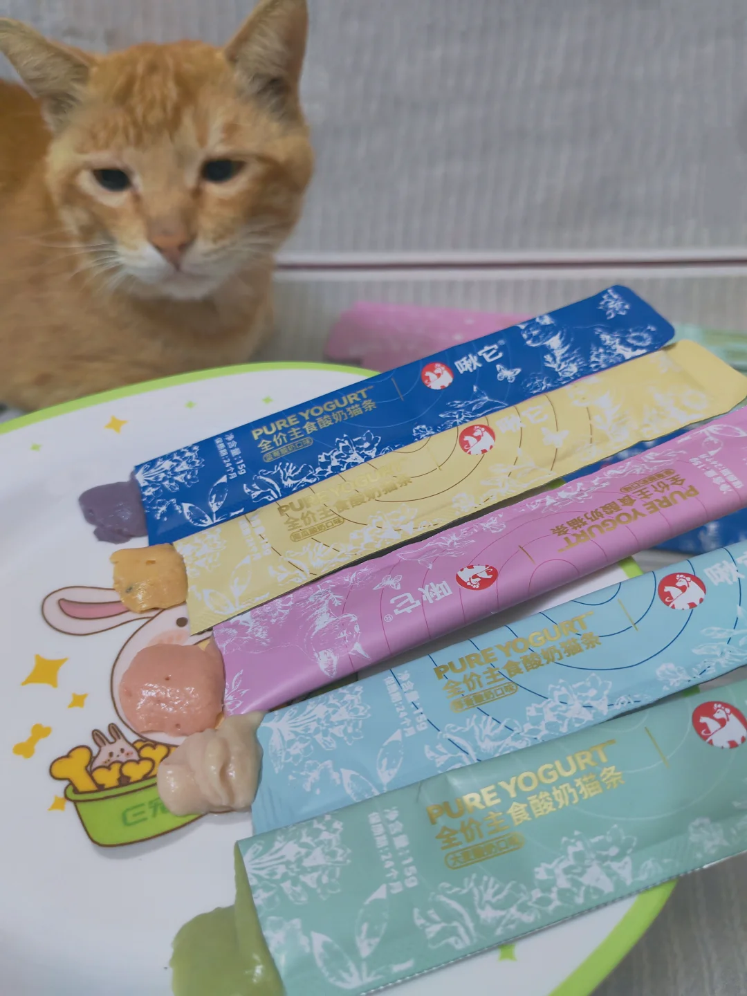 彩虹🌈酸奶主食猫条｜猫咪快乐制造机