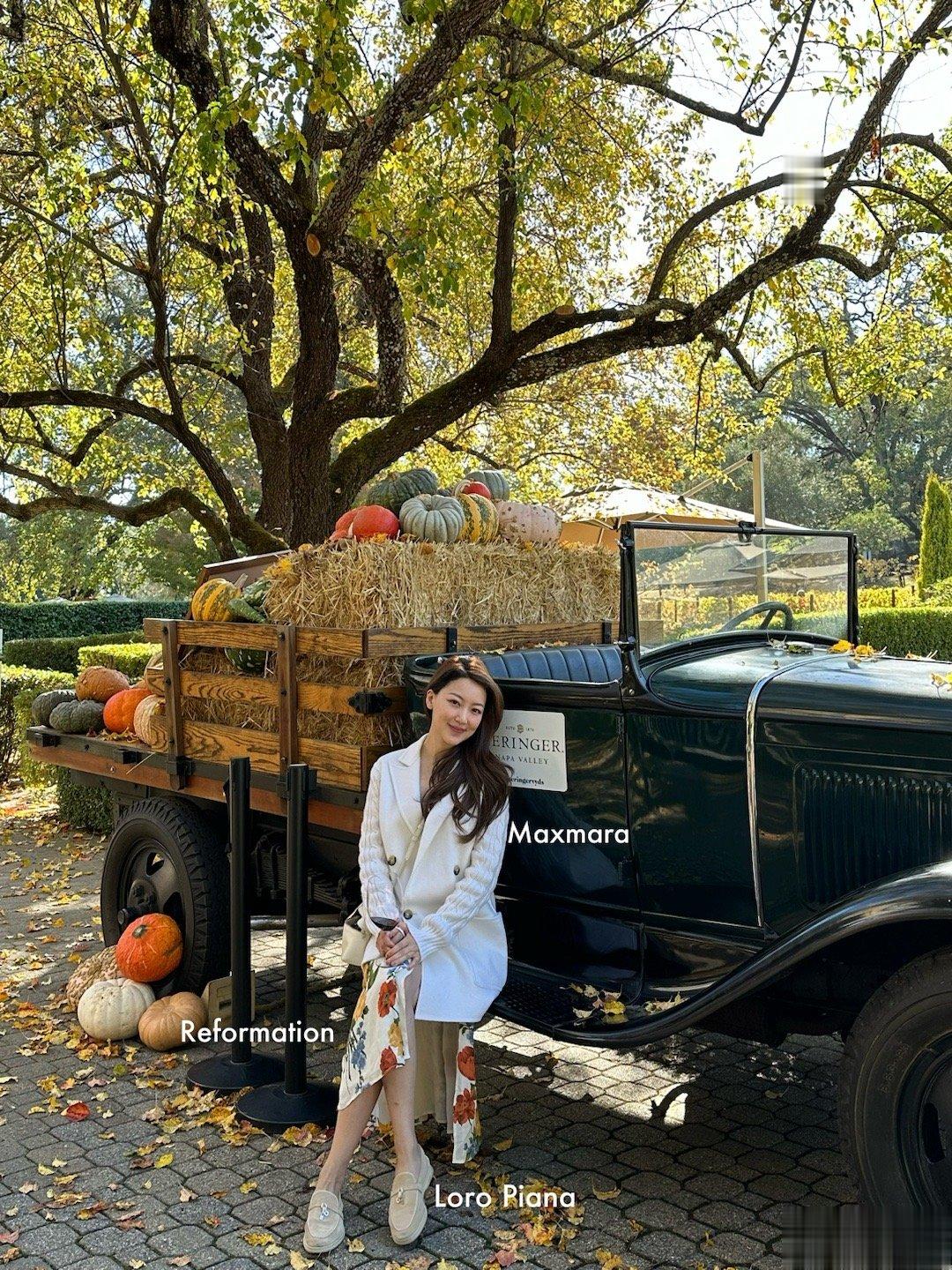 OOTS(outfit of the season) 🍁 ​​​
