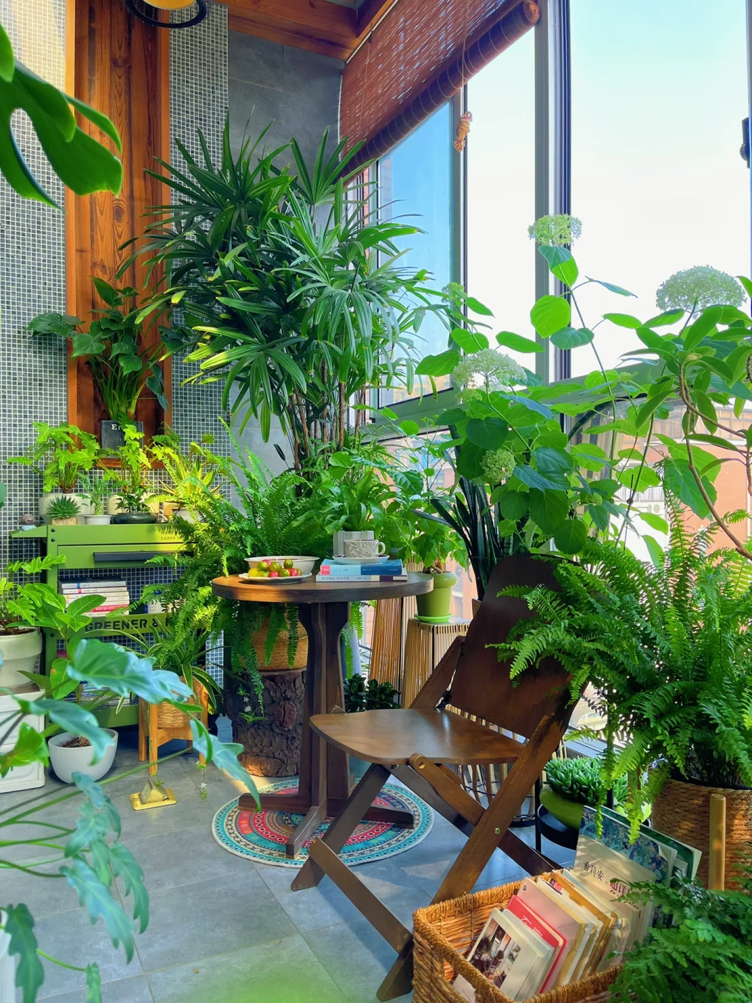 9m²阳台布置｜是家，也是治愈我的小森林！