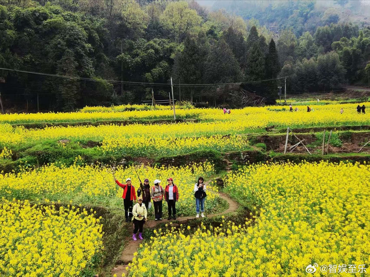 今日朋友圈美图精选！一花成景，万芳绘春！