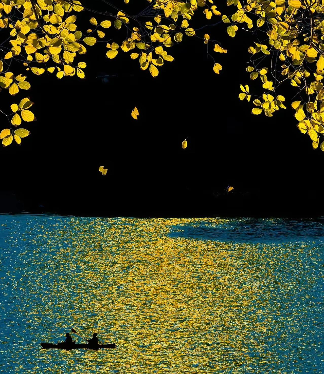 一位退休老人说:
“房子再大，退休金再高，一旦热衷广场舞、打麻将，扎堆凑热闹，人