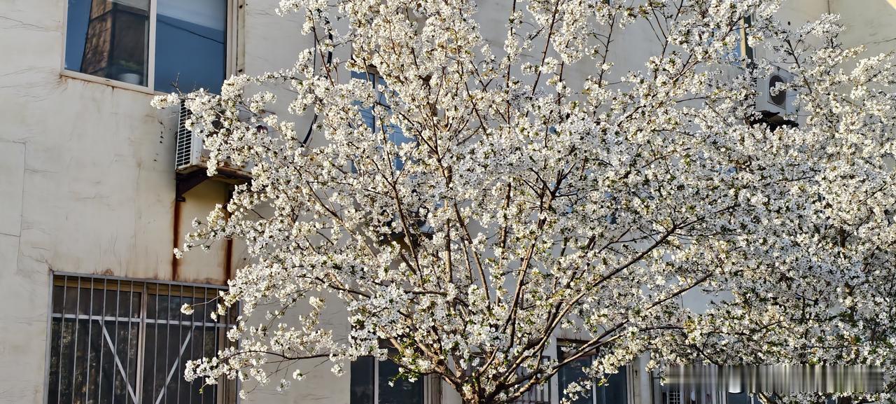 细节要是整不明白，你那“5亿”的梦想也就是个梦，甚至还要倒贴！

今天在会议室，