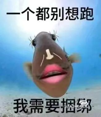 令人迷惑的是，都躺在国有资产上吸血，赚了别人几百辈子花不完的钱了，母亲还要当老赖