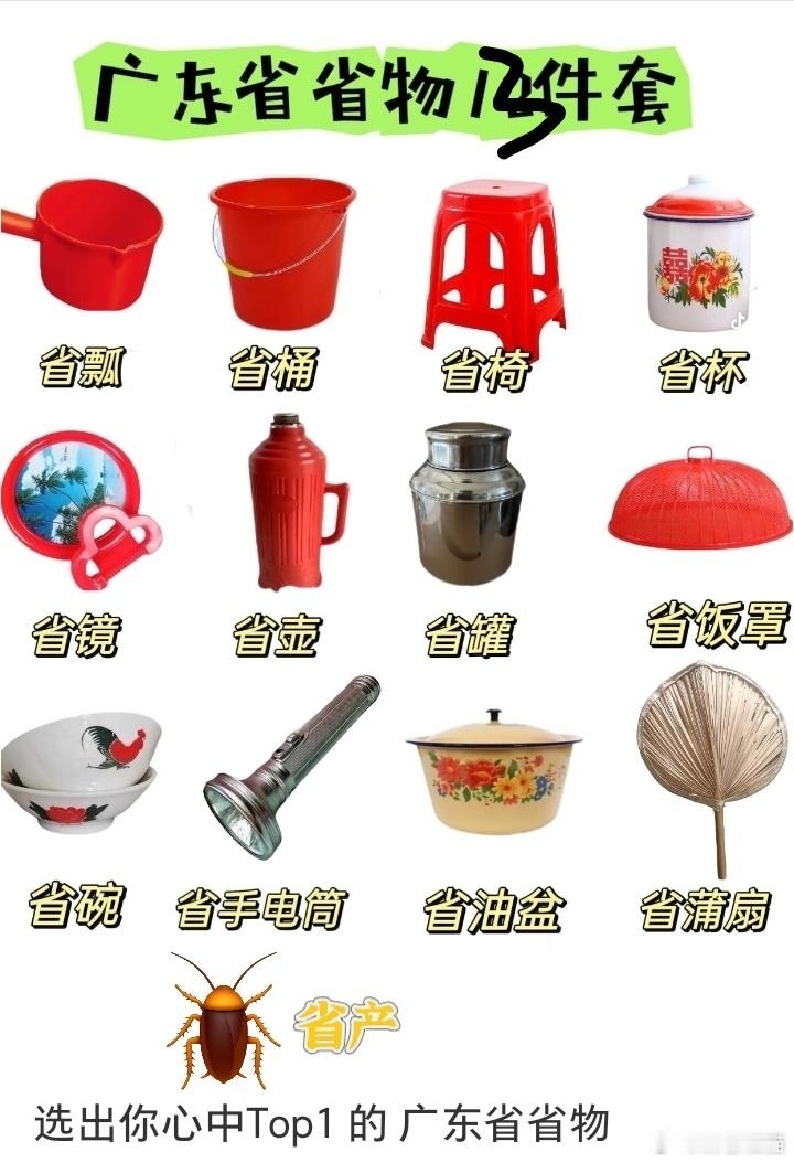 广东入来选