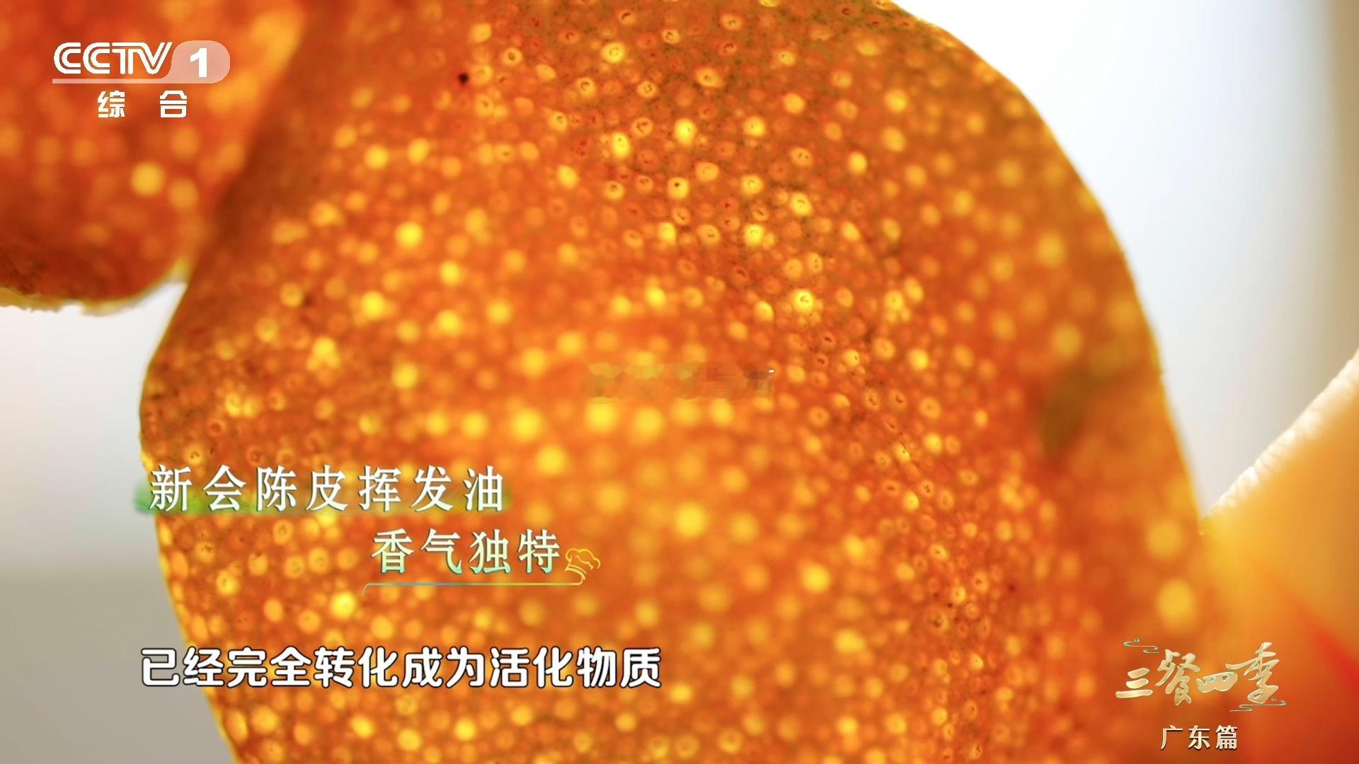 【速看！正宗广东新会陈皮的年份如何鉴别】新会陈皮，岁月的馈赠。茶枝柑在新会的风水