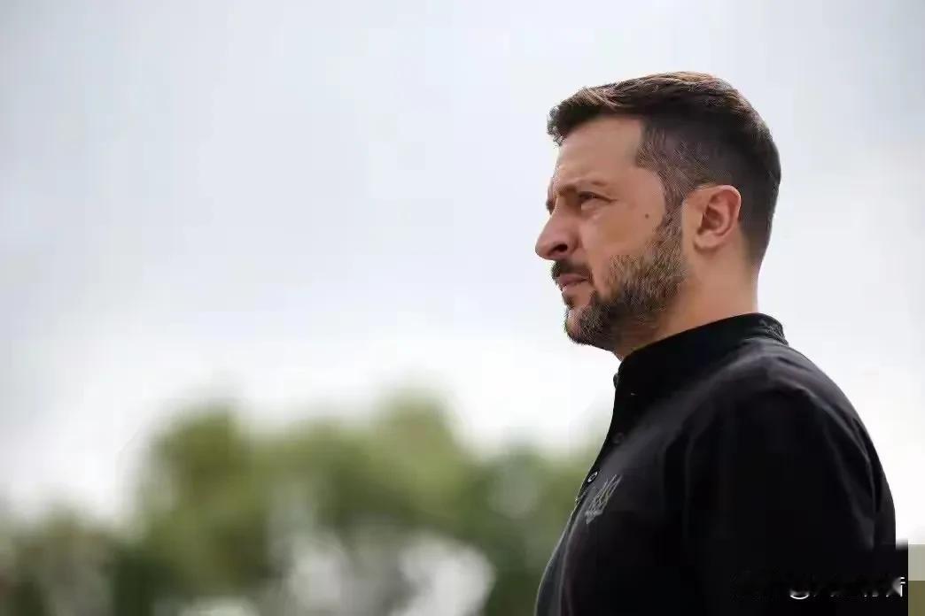 如何看待泽连斯基提出的二十点和平计划？俄乌双方的分歧及问题在哪里？

可以说，目