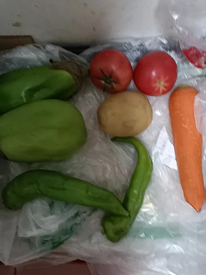 今天沈阳的大暴雨还在下，中小学，幼儿园还继续停课一天。
        昨天在家