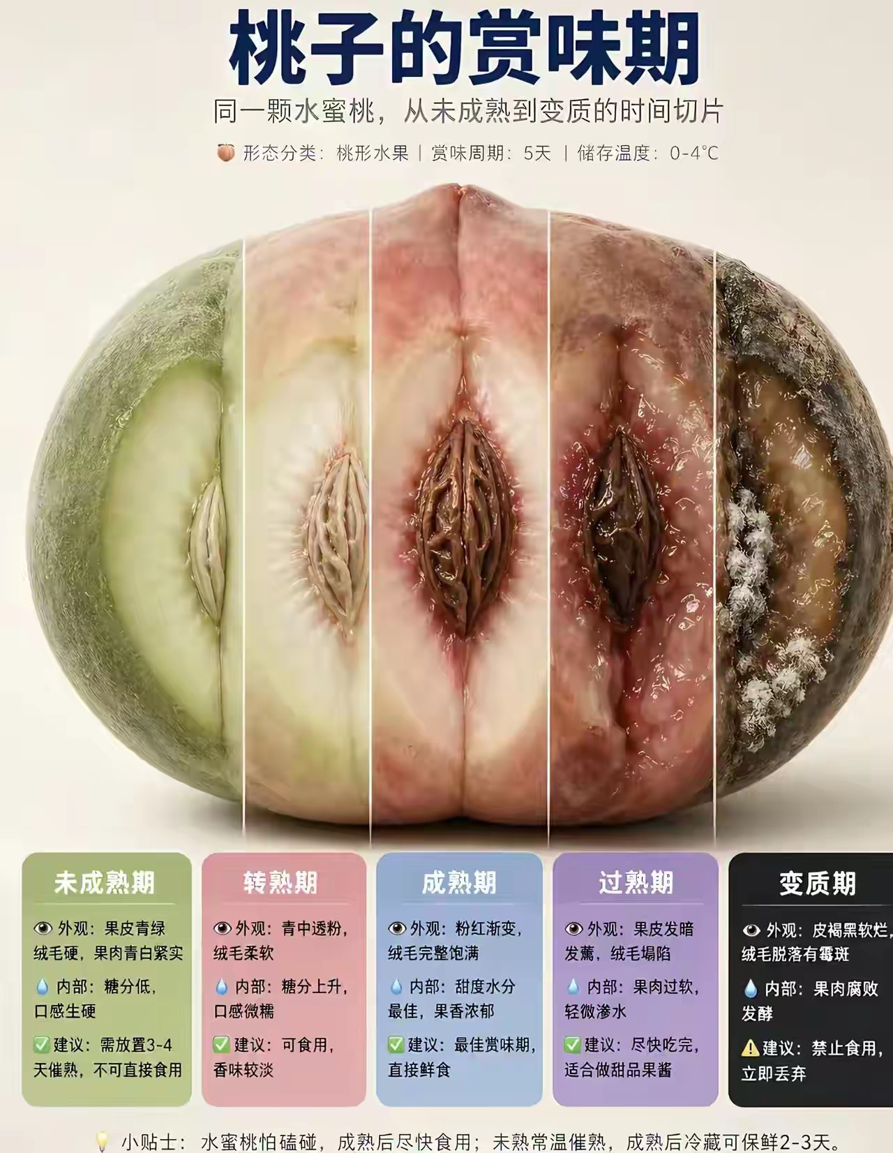 喜欢桃子吗 