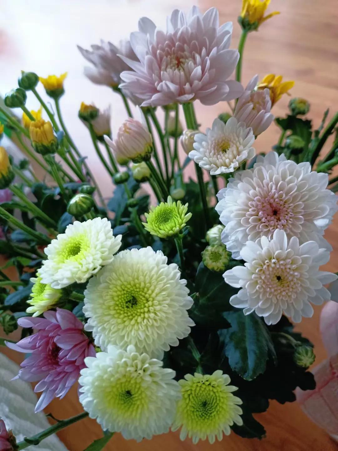 花

花团锦簇映窗明，
紫白黄绿各争荣。
香风轻拂心神爽，
静赏芳华意自清。
