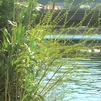 梦有多燃，就能飞得多远。时时有所创造、事事有所成就、处处有所精进，阅读蕴藏着无尽