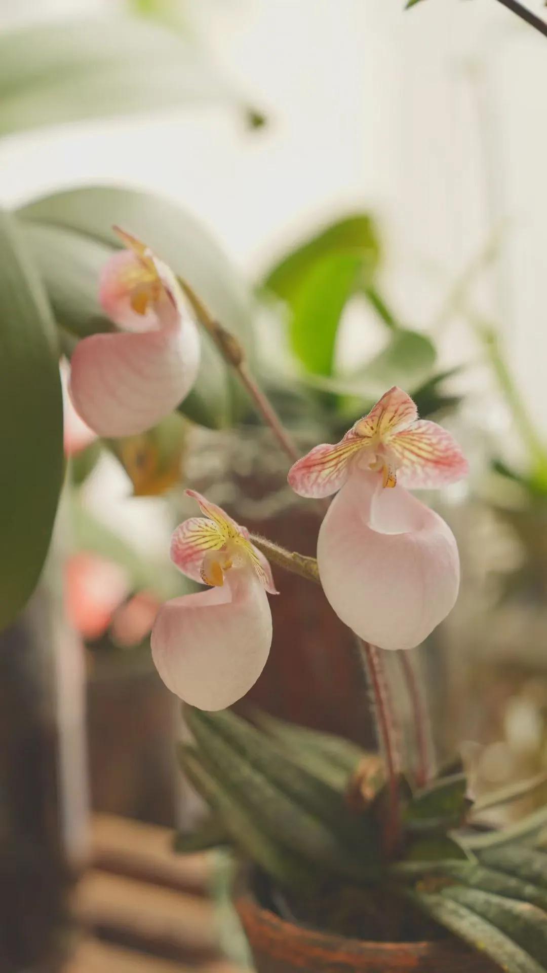 ✍师说：
你的时间很贵，只留给能让你向上、让你变好的人和圈子[福][福][福]