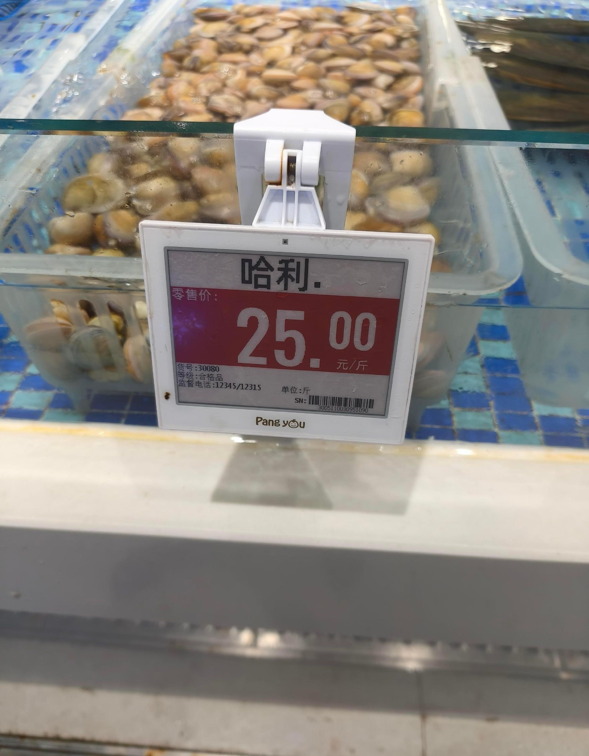 路亚钓的？ 