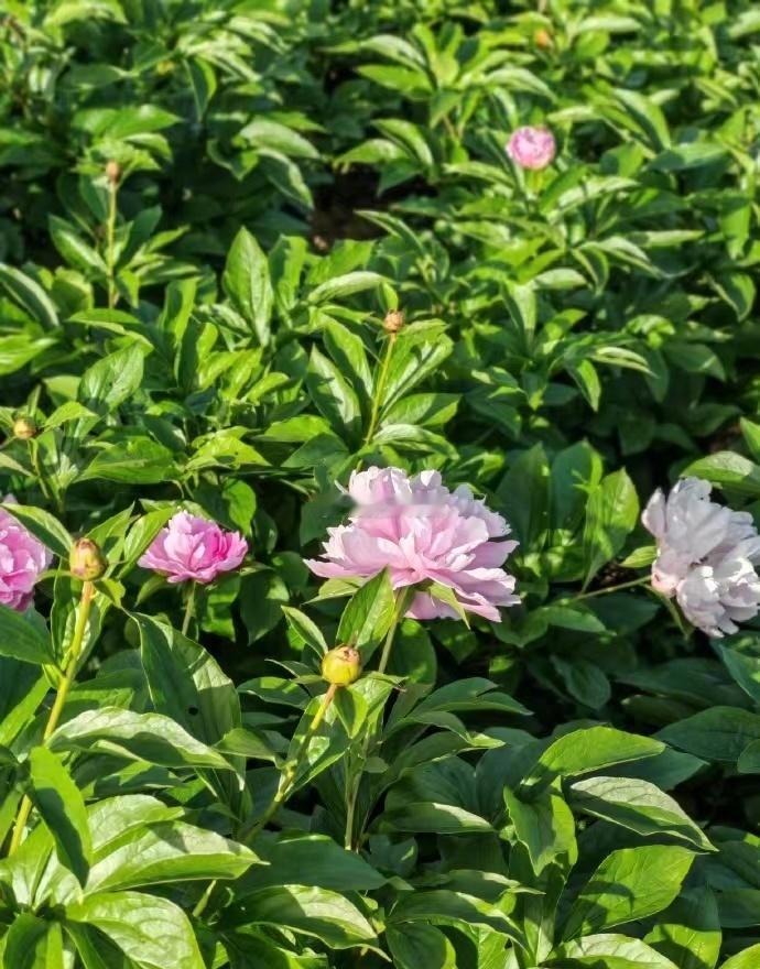 活动现场热度持续飙升！