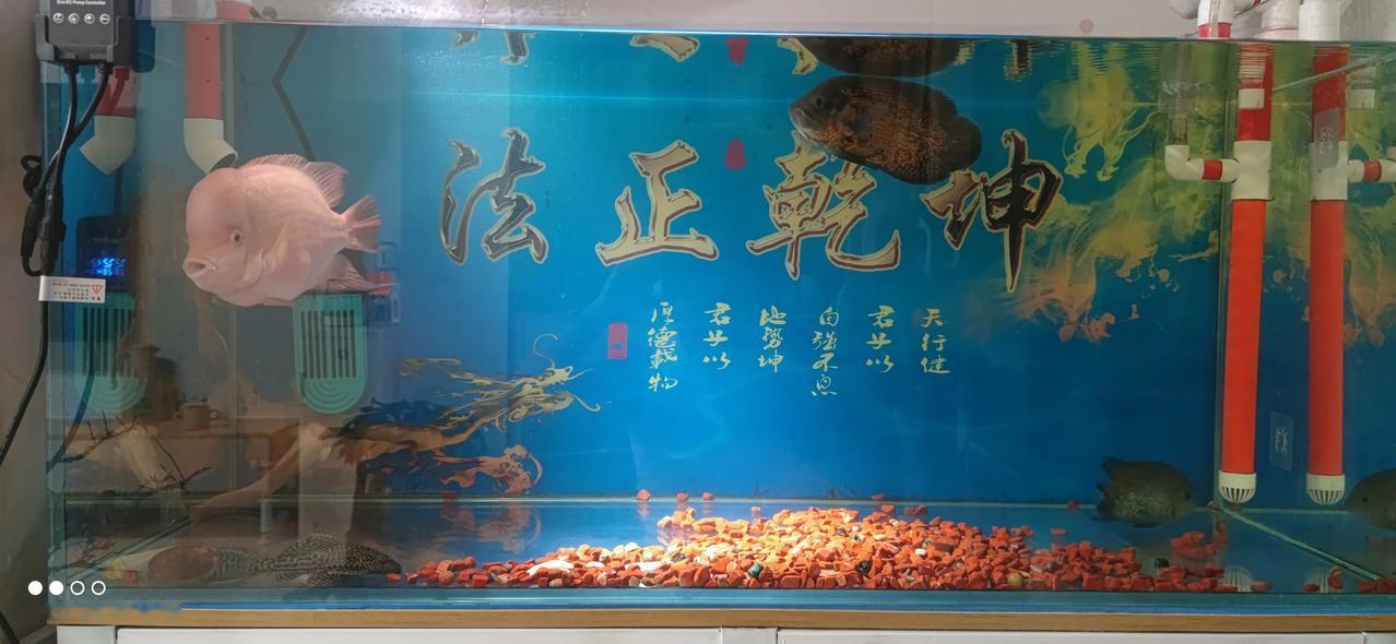 实习律师第137天
        今天早上到律所，带教律师昨天交代一件案子要去