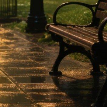 带着相机走了一整天，枕着星光入眠，晚安，我的摄影搭子。 