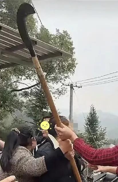 株洲的网友能出来证实一下吗？他们手中的拿的是杀猪刀吗？你们那里的猪是不是很凶，需