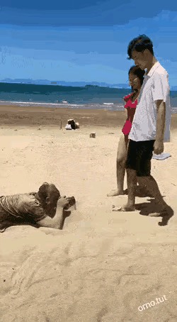 这摄影师也太敬业了吧，只是感觉这对情侣不讲究，怎么把沙子全往摄影师脸上踢，幸亏摄