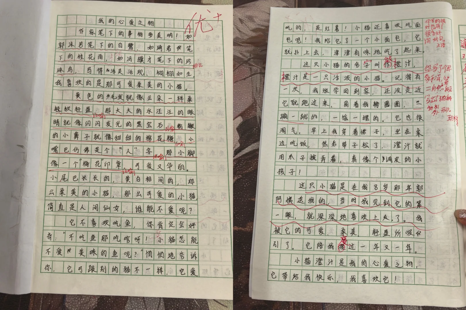 五上语文《我的心爱之物》范文