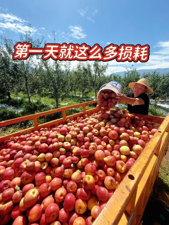 今年太难了、第一批就百分之40的损耗！