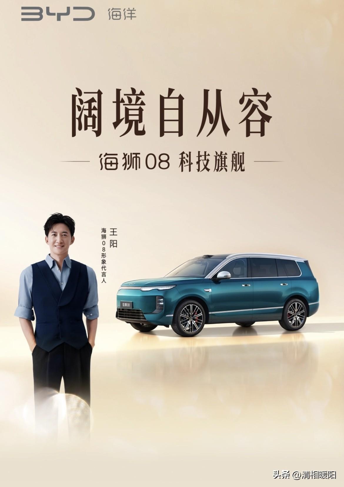 比亚迪海洋系列最好的三款车：

第一、海狮08：旗舰SUV首选

第二、海豹08