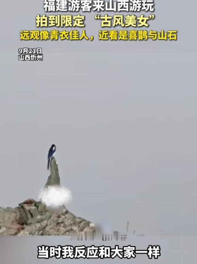 “太奇妙了！”福建游客来山西旅游，拍照，没想到拍到限定的“古风美女”，他走近一看