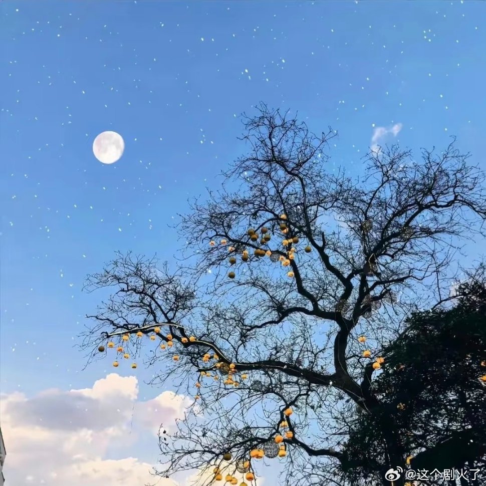 氛围感图片。 
