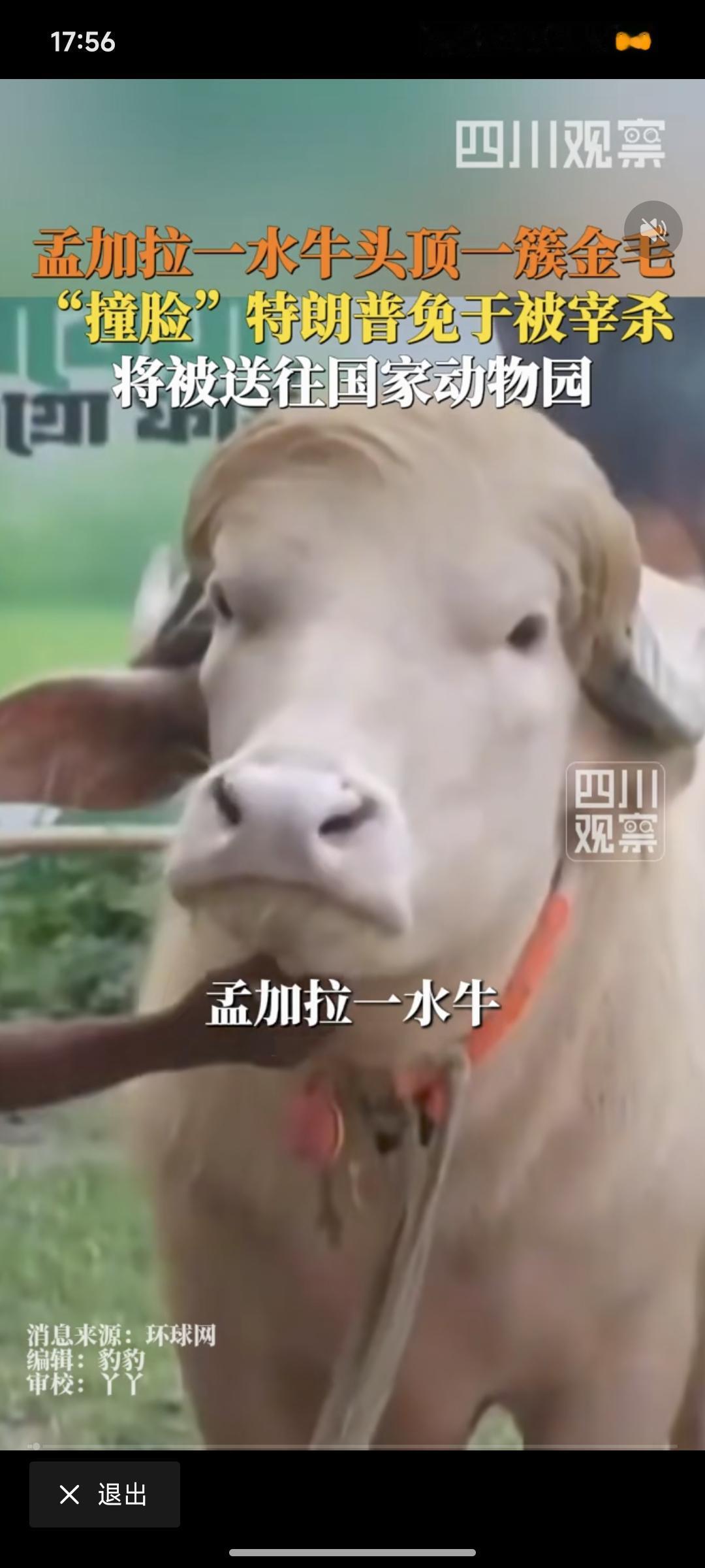 这个世界充满了假象，唯有痛苦从不说谎。