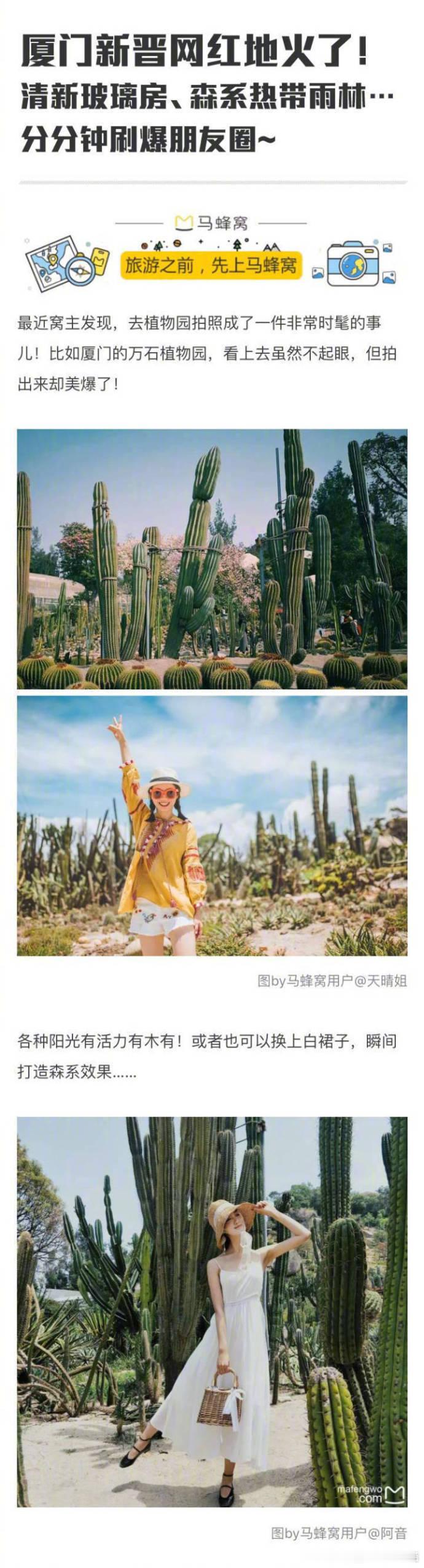 厦门网红拍照地推荐 