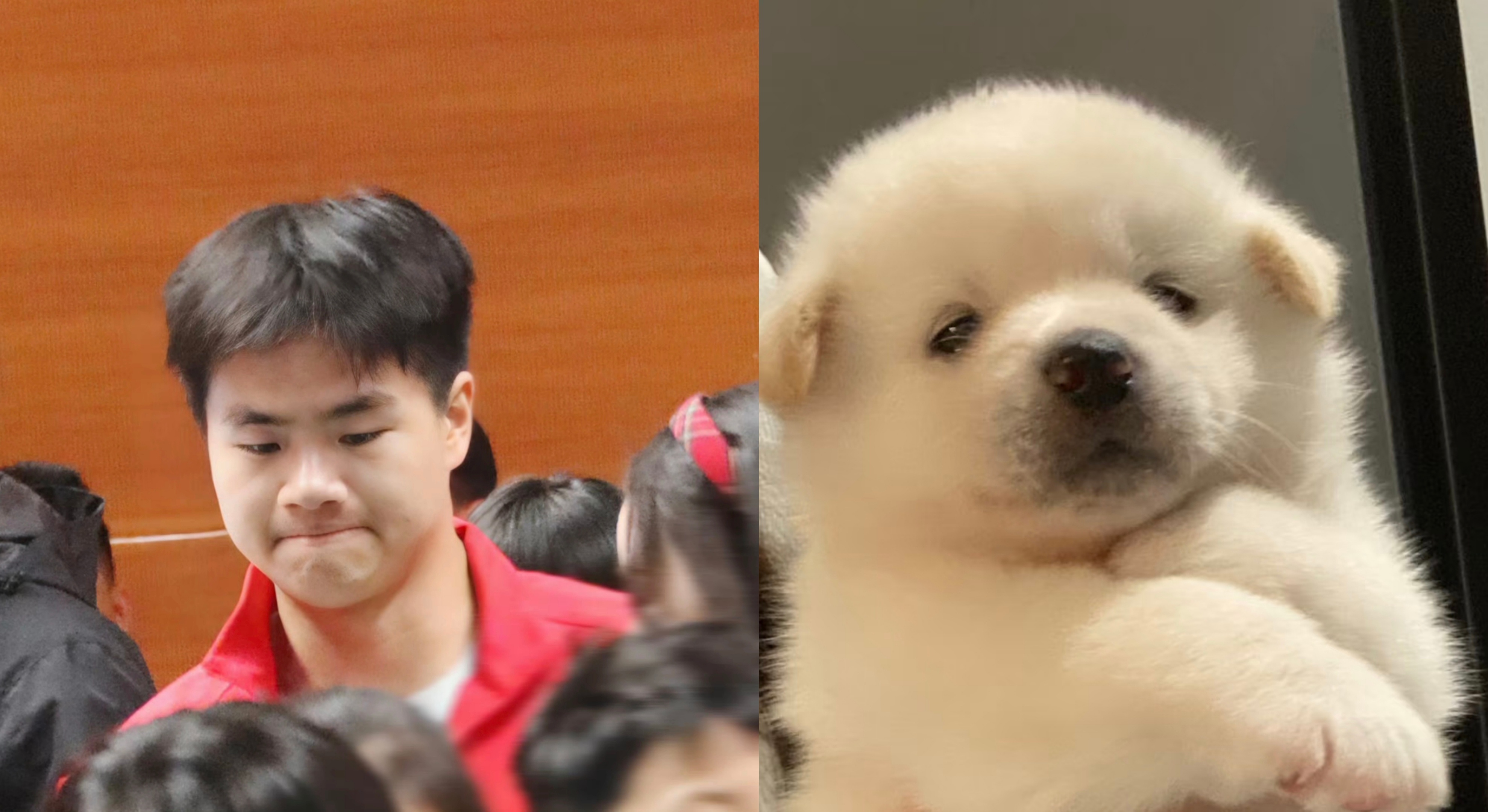 其实我看到各种修狗都在代梁伟铿 ☆审铿积累