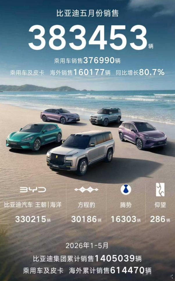 比亚迪汽车5月销量 383453辆海外销售突破16万辆这个成绩如何？ 