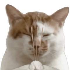 晦气远离我，坏事远离我，霉运远离我，贱或远离我，神人远离我，不好的东西通通走开?