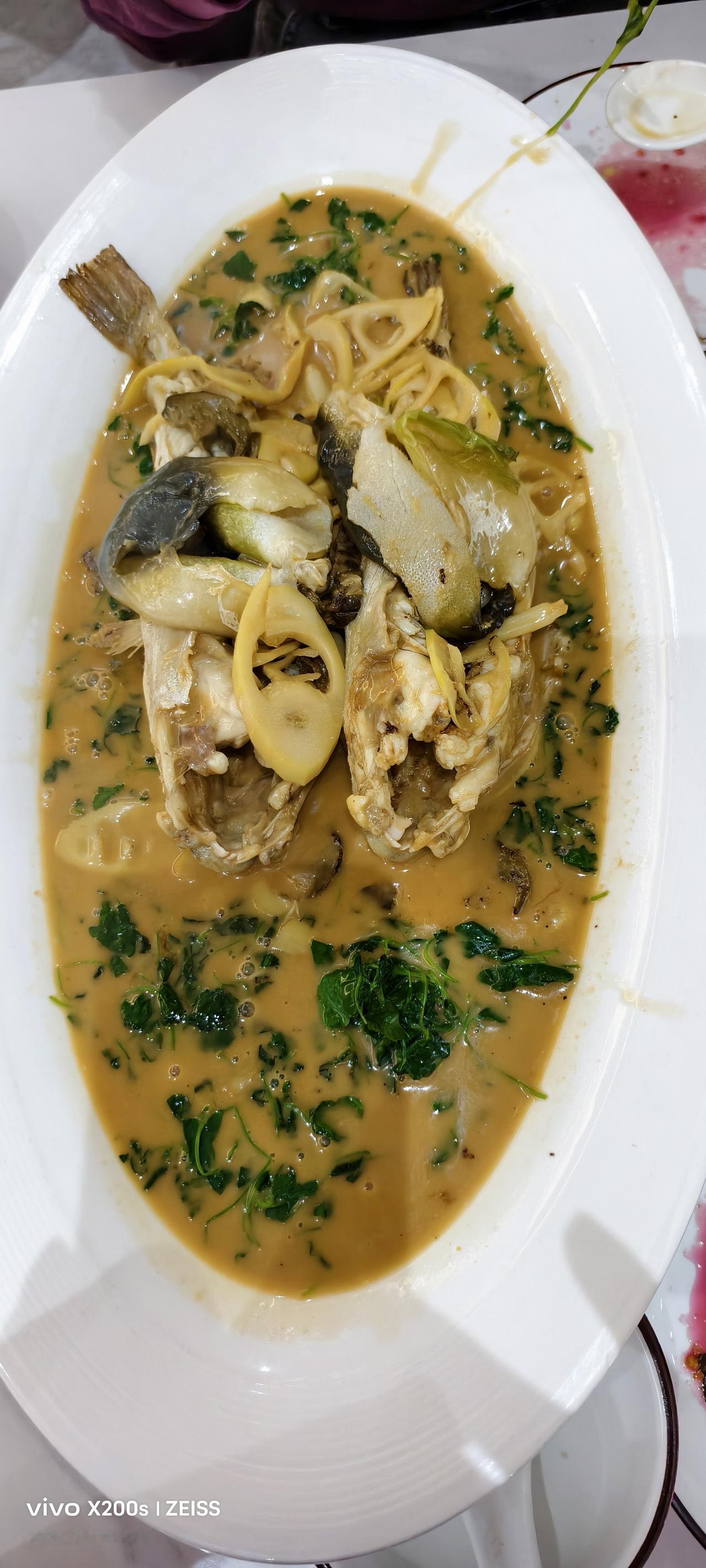 四月的镇江，春水初涨，芦蒿满地，正是河豚最肥美的时节。

周末回了趟镇江，心心念