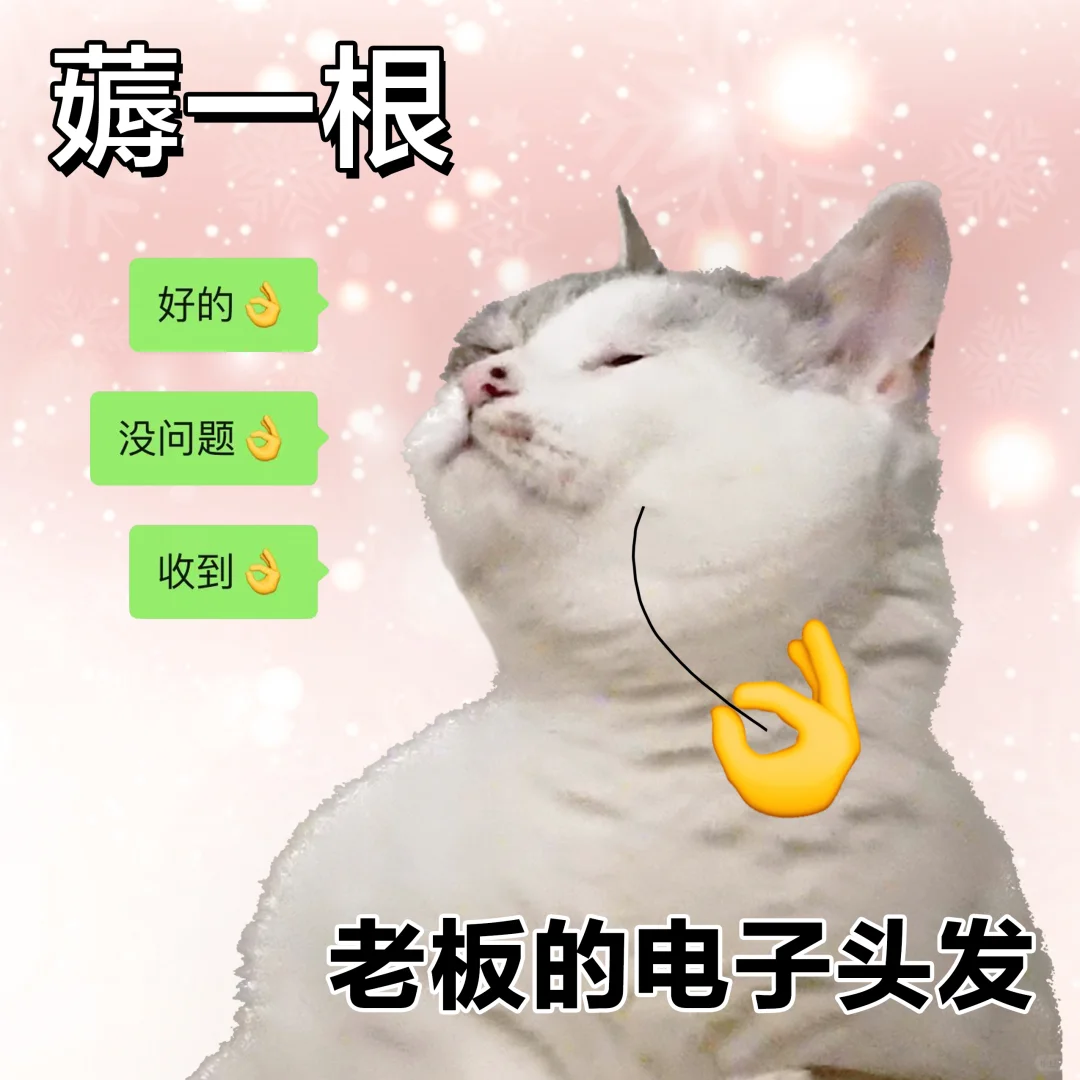 表情包 | 回复老板消息越来越熟练了
