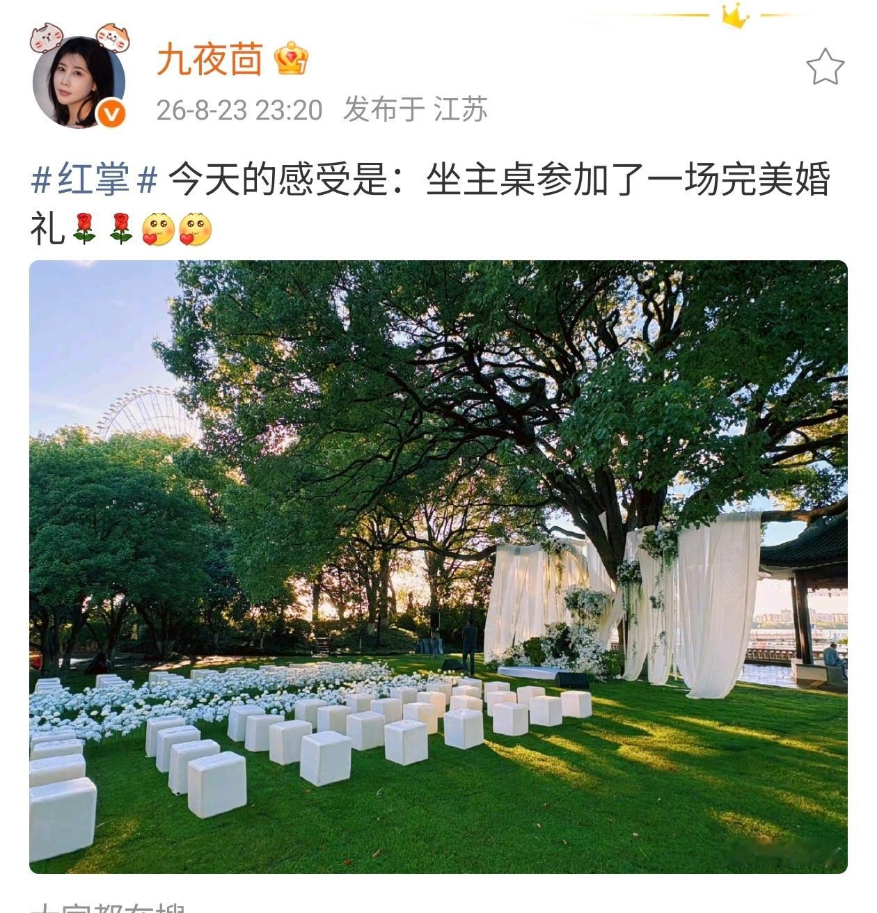红掌像九姐说的，昨天我们作为观众也仿佛参加了一场超完美婚礼
