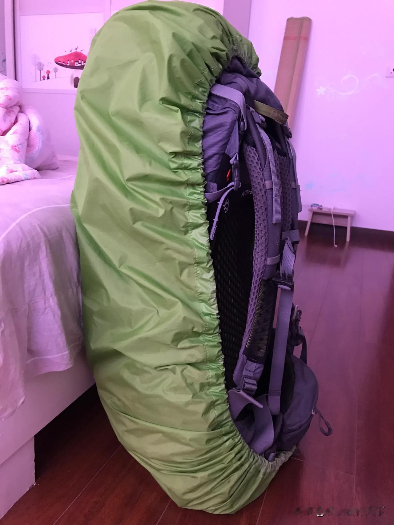 旅行 今天出门了，老妈非让带几个莲蓬，这东西估计保鲜不了多久，我争取在路上把它搞