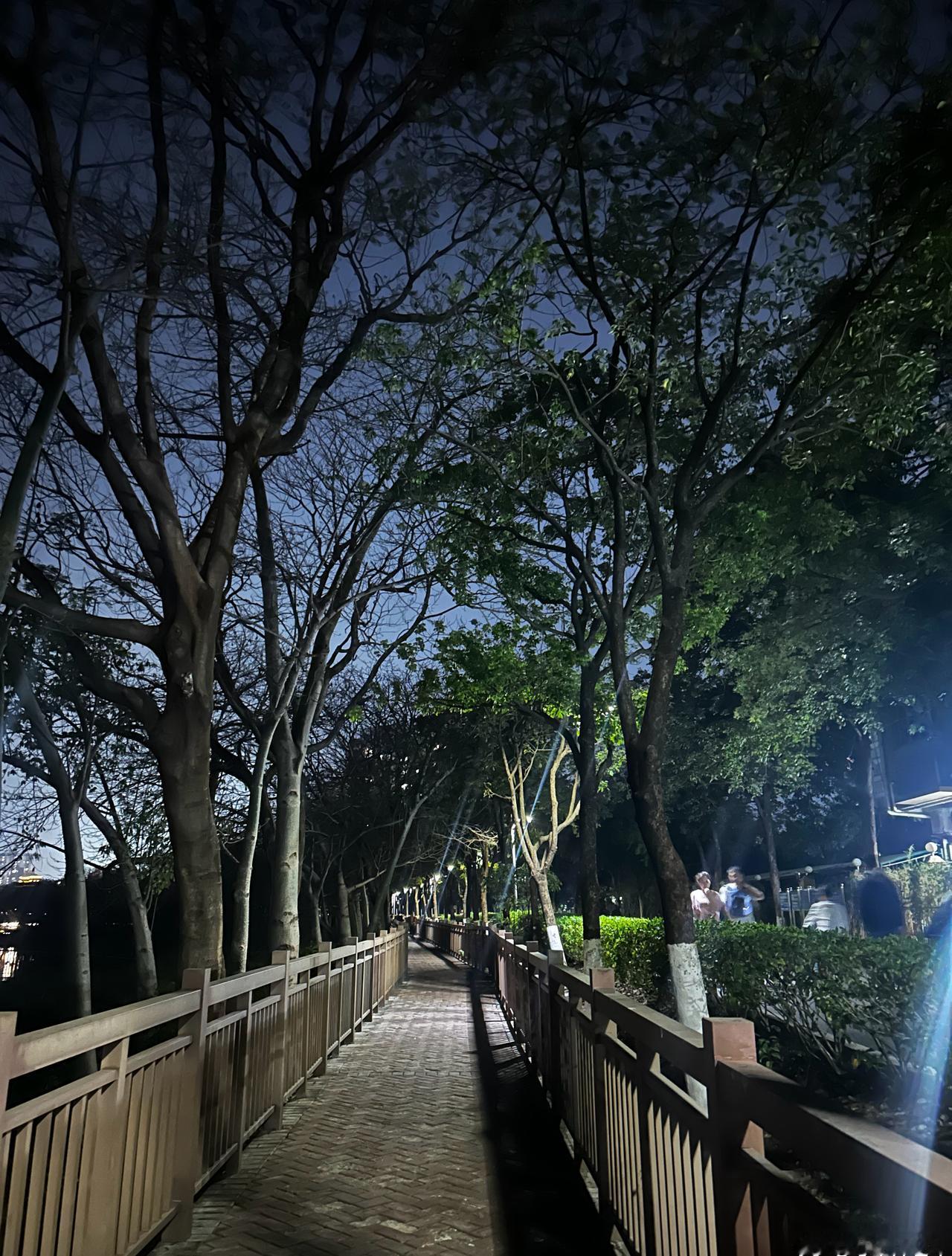 看到这段新闻真的是哀其不幸，​怒其不争啊！
哀其不幸，是心疼老人起早贪黑、靠一个