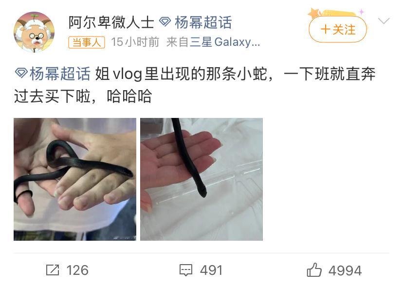 手慢无‼️幂姐摸过的小蛇被买走勒～粉随正主大家胆子都很大哈哈哈哈哈粉丝买了杨幂摸