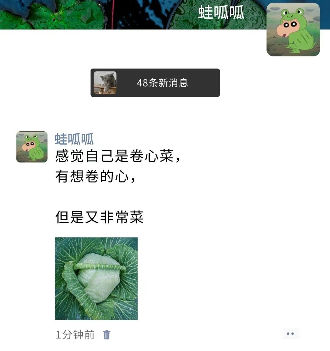 感觉自己是棵卷心菜。[doge] ​ ​​​