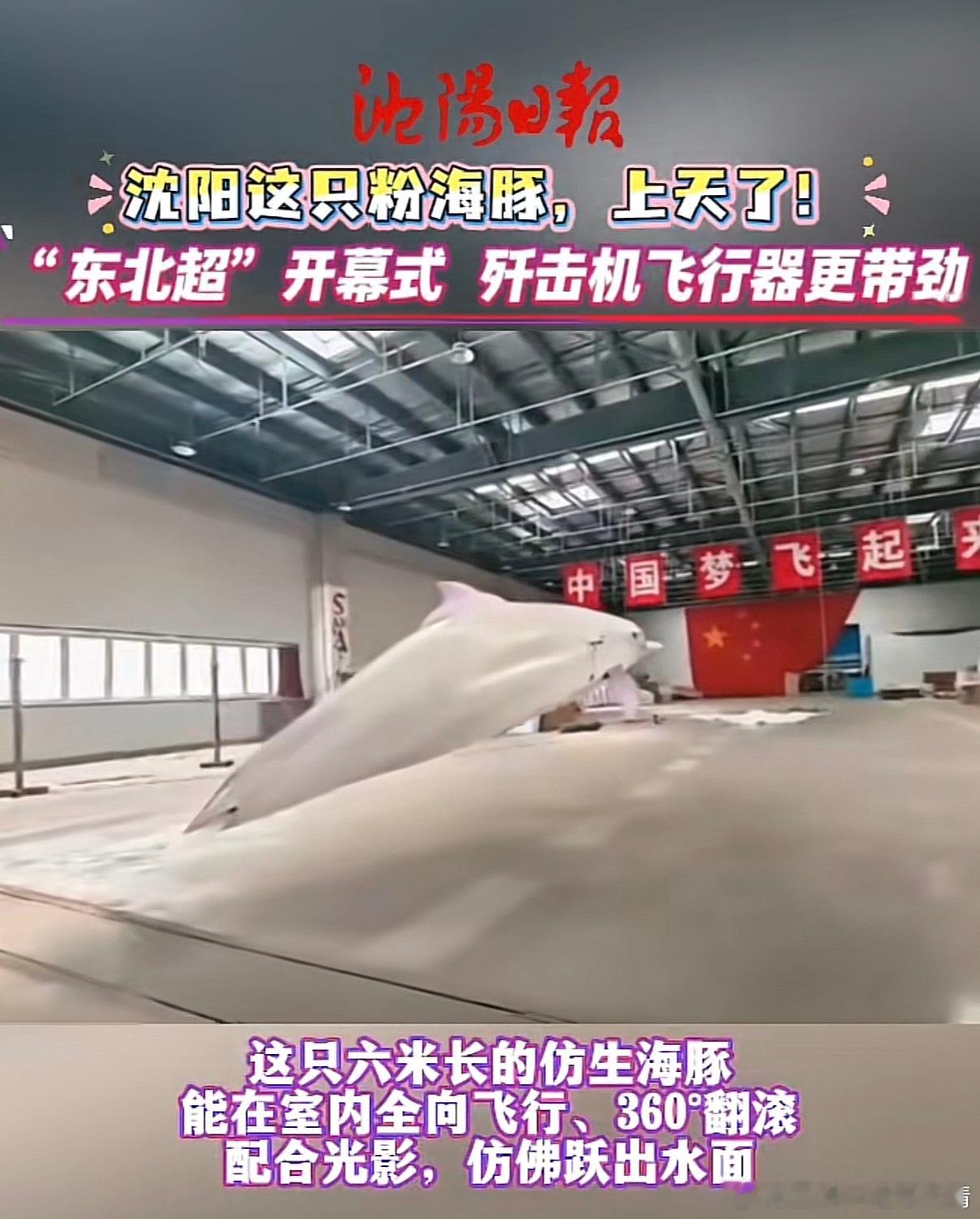 东北超东北超开幕式天上要飞海豚了。东北超