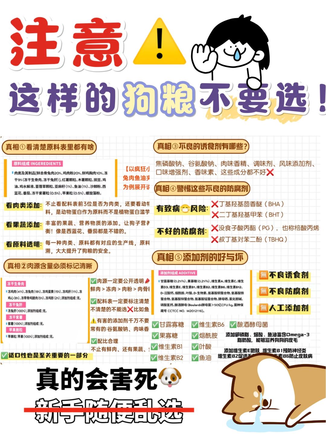 买粮不跟风❗️掌握这几点你也能挑出好狗粮