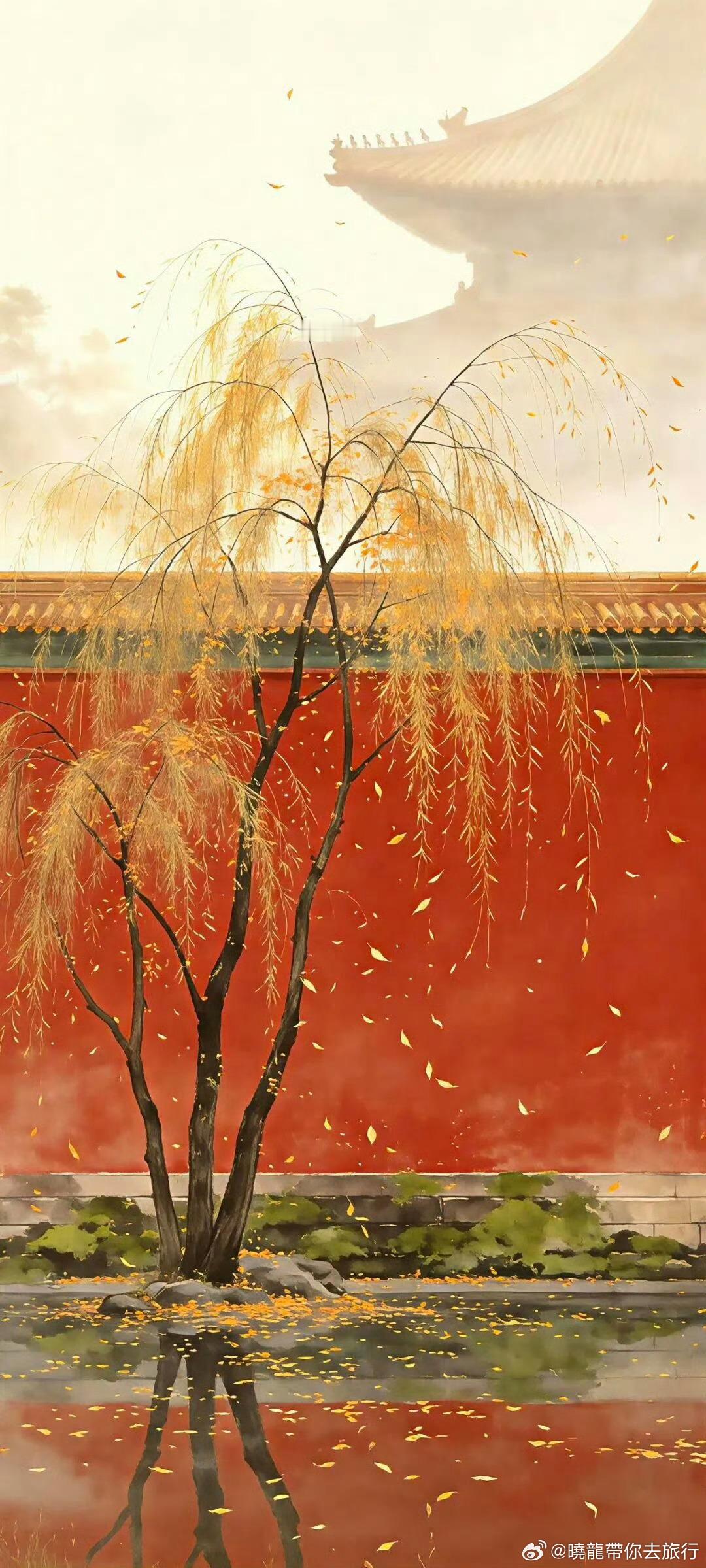 可有，可无，可去，可留，取舍之间，便是人生。可忙，可闲，可急，可缓，张驰之间，便