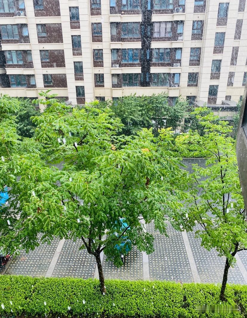 夏天的天气，简直像闹小情绪的孩子

夏天明明是很浪漫的季节，却总让人哭笑不得。