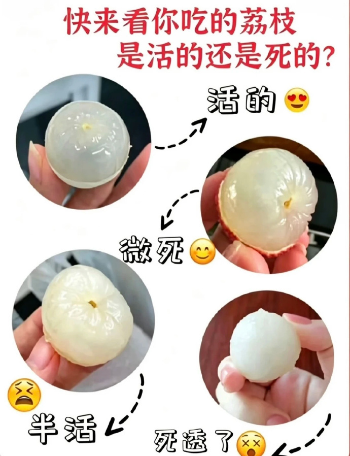 活荔枝 死荔枝原来荔枝也有 “活” 与 “死” 之分，果肉状态直接暴露了新鲜度